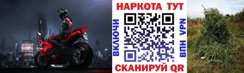 Купить наркоту Северо-Курильск МДМА  ОМГ ОМГ как войти  МАРИХУАНА  Меф мяу мяу 