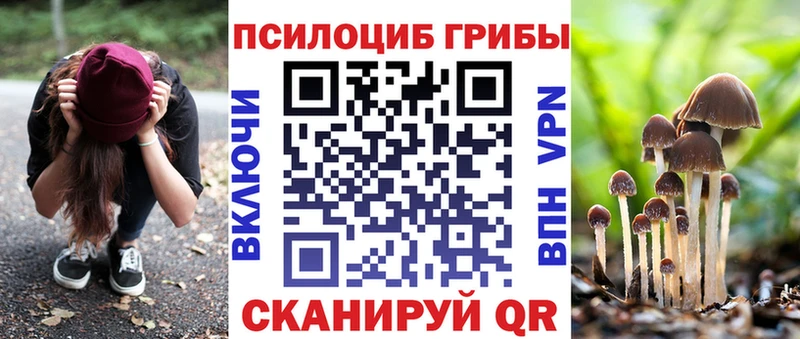 Галлюциногенные грибы мицелий  цена   МЕГА ТОР  Северо-Курильск 